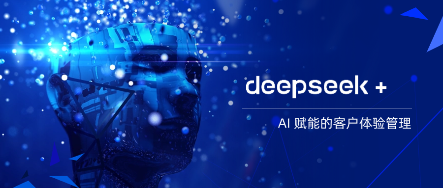 DeepSeek+ AI ܵĿͻ·ʽ